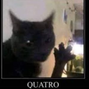 Foto de perfil de Sebastián